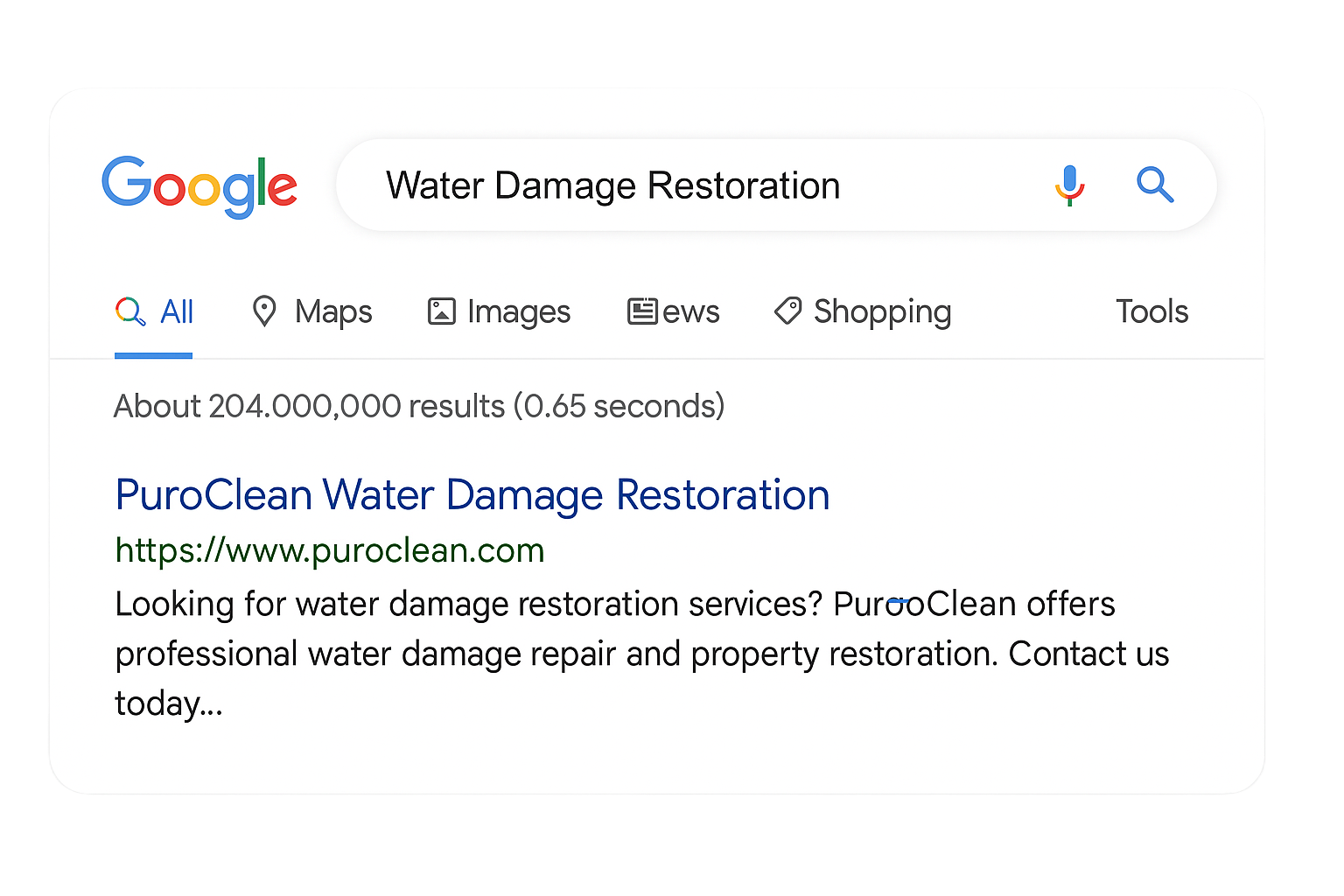 Google SEO Results